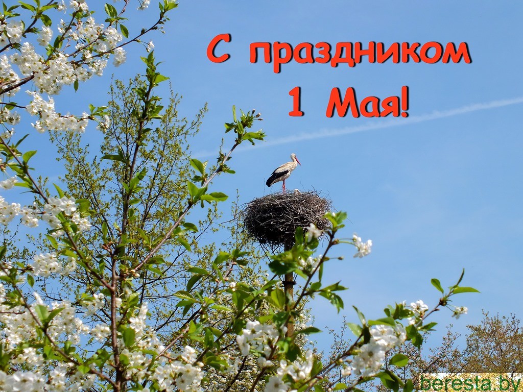 С праздником труда! Поздравление Берестовицкого районного исполнительного комитета и районного Совета депутатов