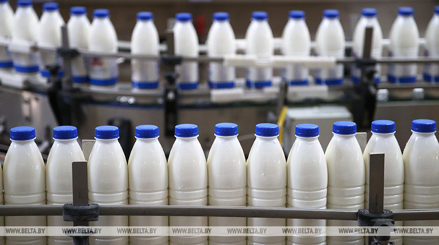 Производство сельхозпродукции в Беларуси в 2024 году увеличилось на 3,4%