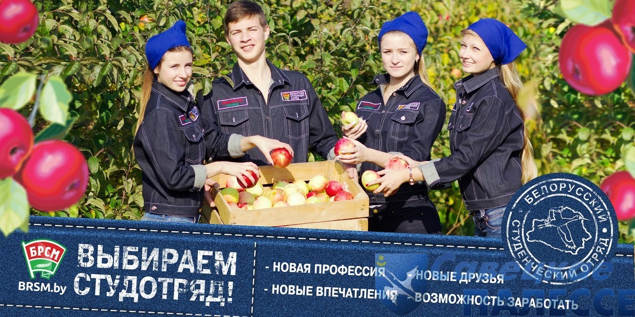 А ну-ка, в строй трудовой! На Берестовитчине начали работу молодежные трудовые отряды