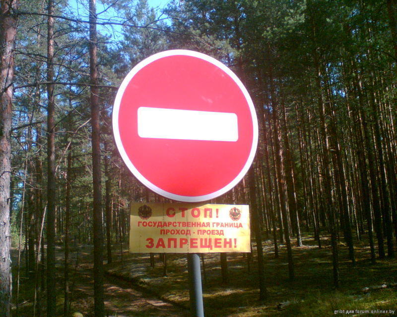 Грибник оказался в розыске