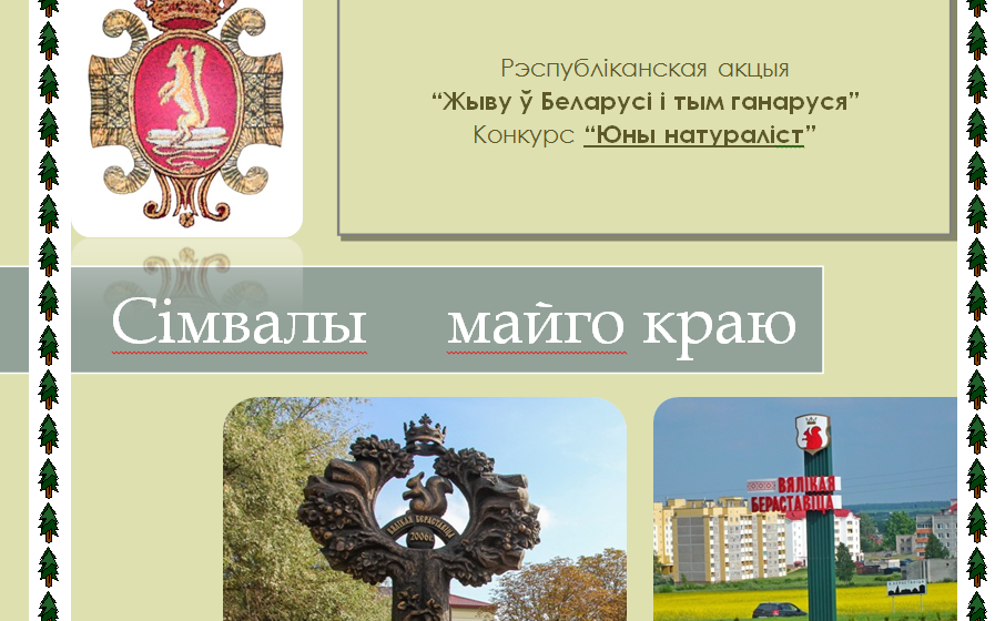 Бераставіцкія школьнікі - у прызёрах абласных конкурсаў