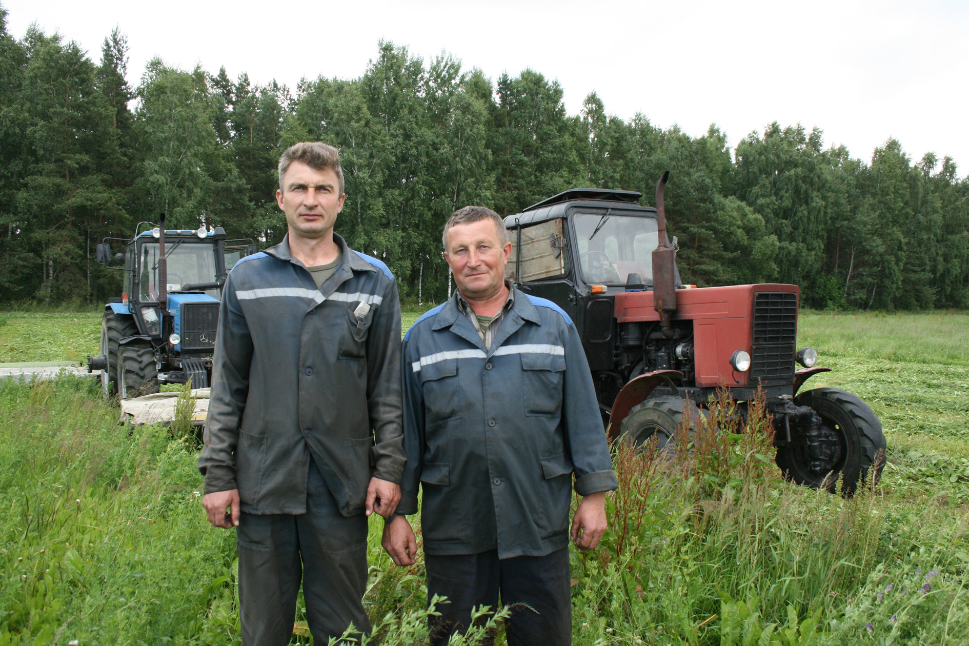 Пачалі другі ўкос