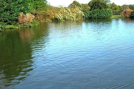 В Берестовицком районе утонул человек