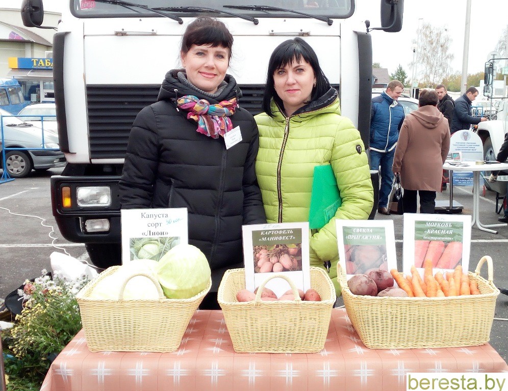 Новости Берестовицкого лицея
