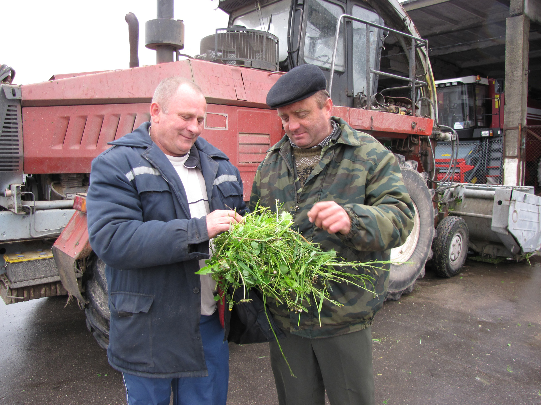Першы ўкос траў ідзе ў СВК  “Пархімаўцы