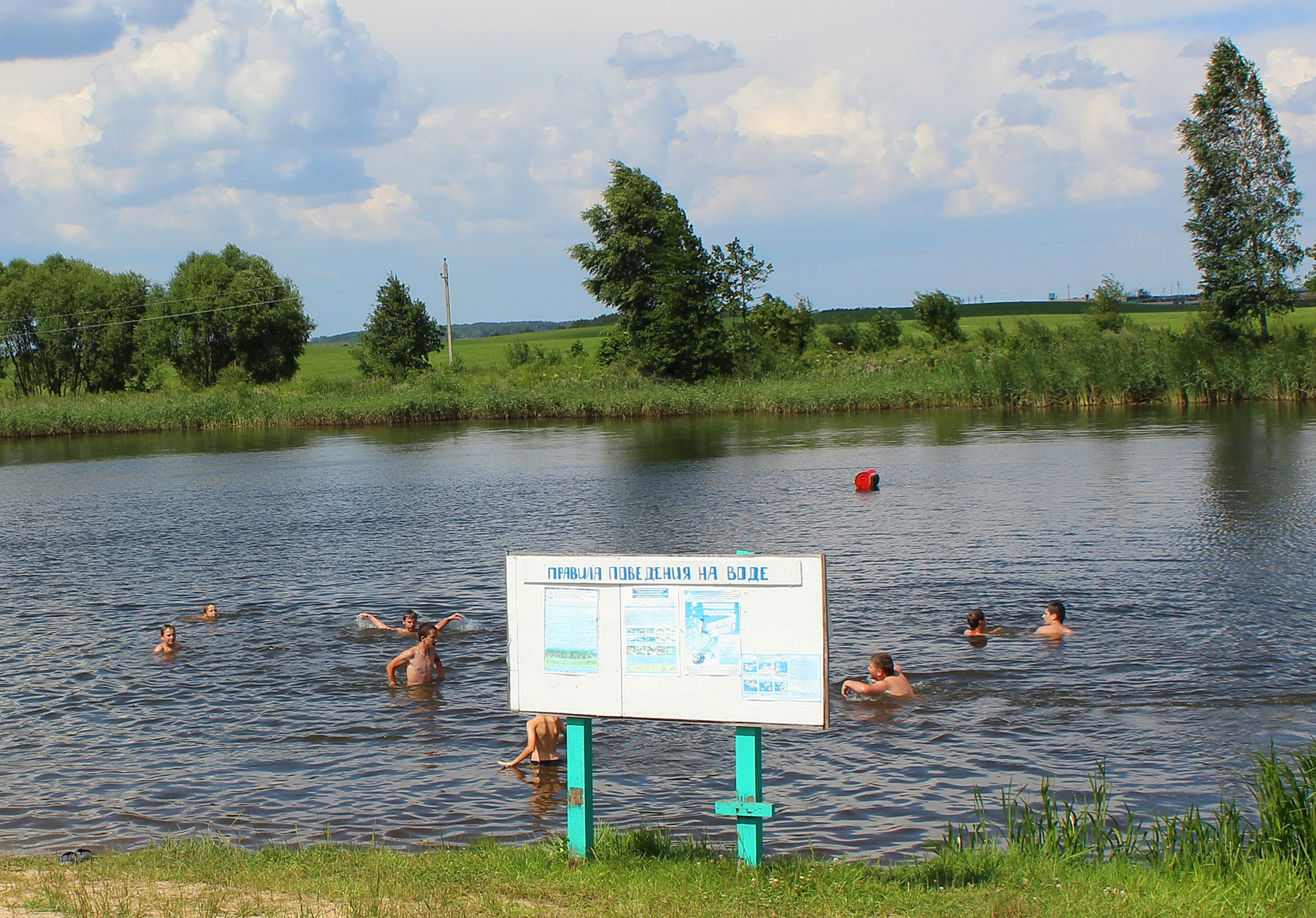 Лето! Пора купаться!