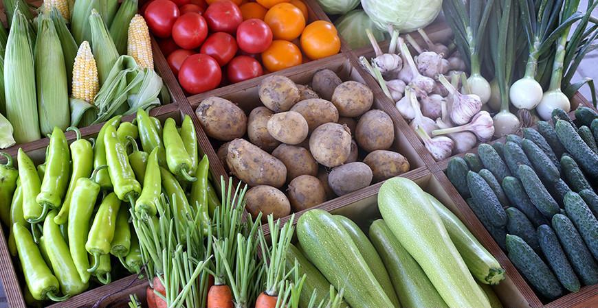 Будем с овощами? МАРТ об обеспечении продукцией в межсезонный период