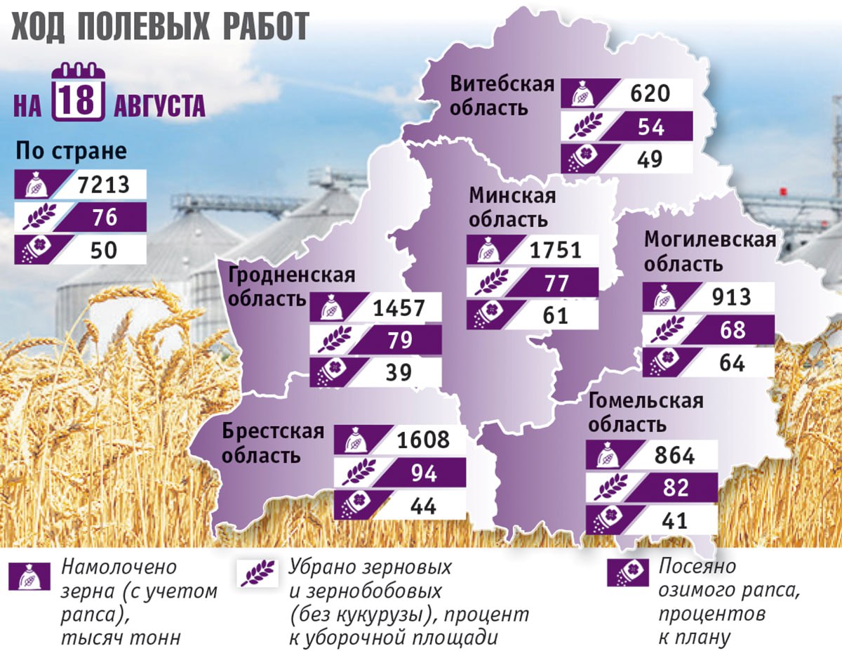 Счет по намолотам в Беларуси уверенно пошел на восьмой миллион тонн