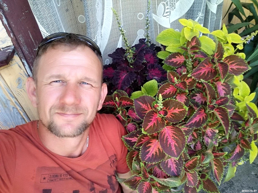 Петуния — цветок благодарный