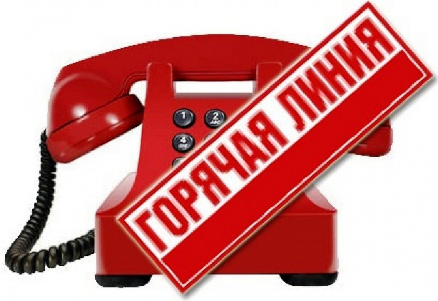 Начала работу  «горячая линия» по вопросам вступительной кампании 2020 года