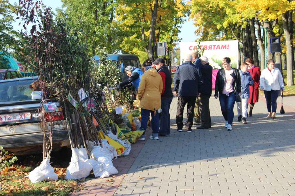 "Ассортимент хороший и цены приемлемые!" Берестовичане делятся впечатлениями от ярмарки