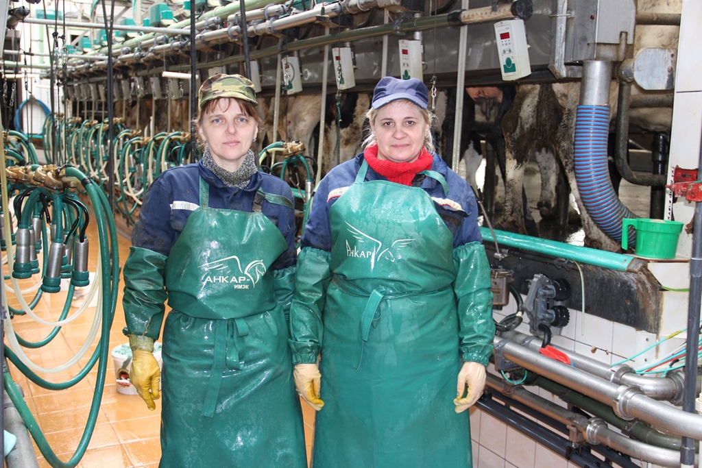 Коллектив МТФ "Рудовляны" на пути повышения продуктивности животных