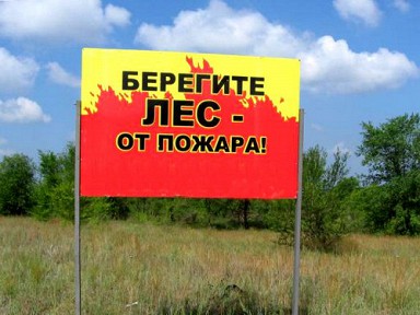 Берегите лес от пожара!