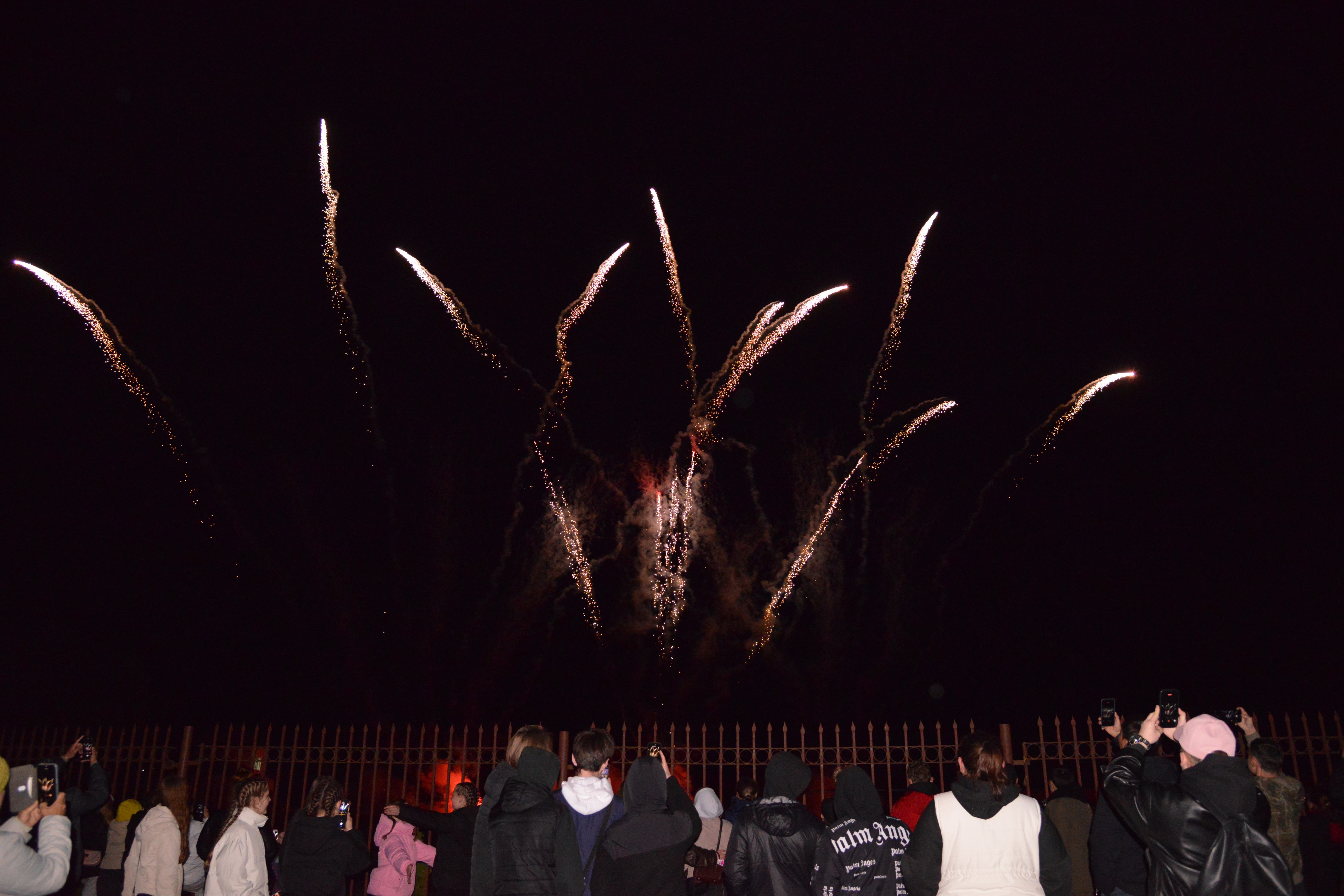 D80_8504.JPG D80_8504.JPG