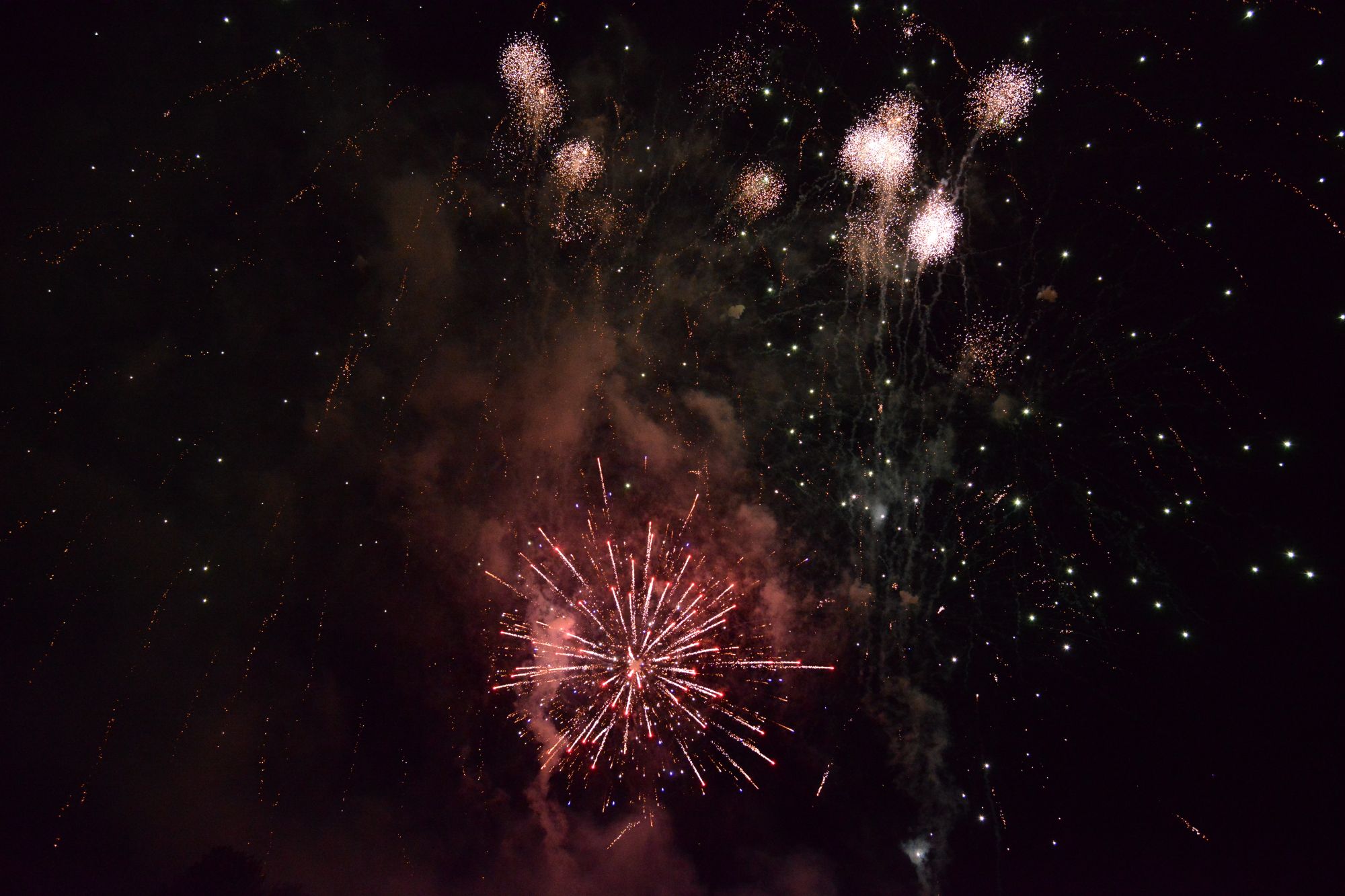 D80_8552.JPG D80_8552.JPG