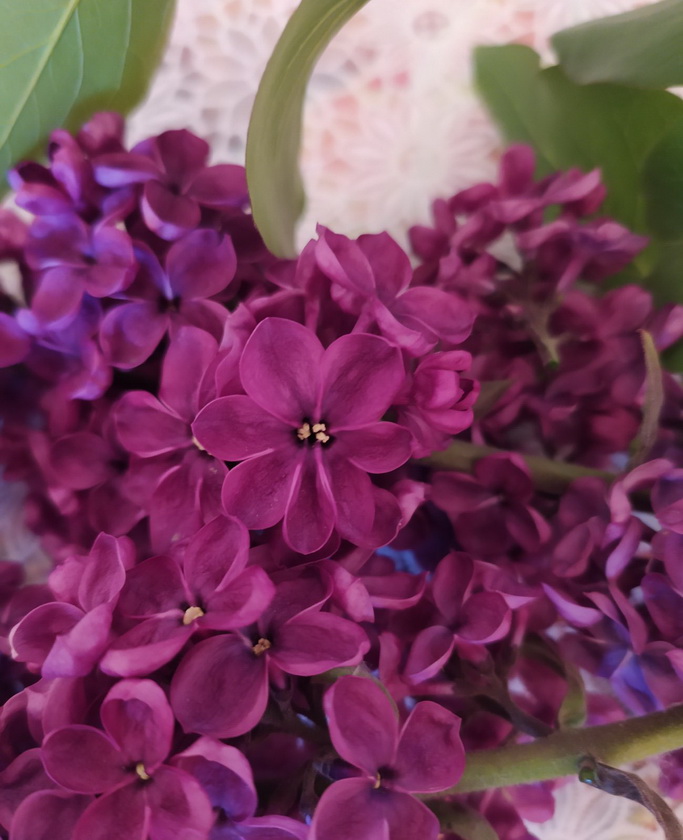 изображение_viber_2026-04-09_12-43-10-980.jpg