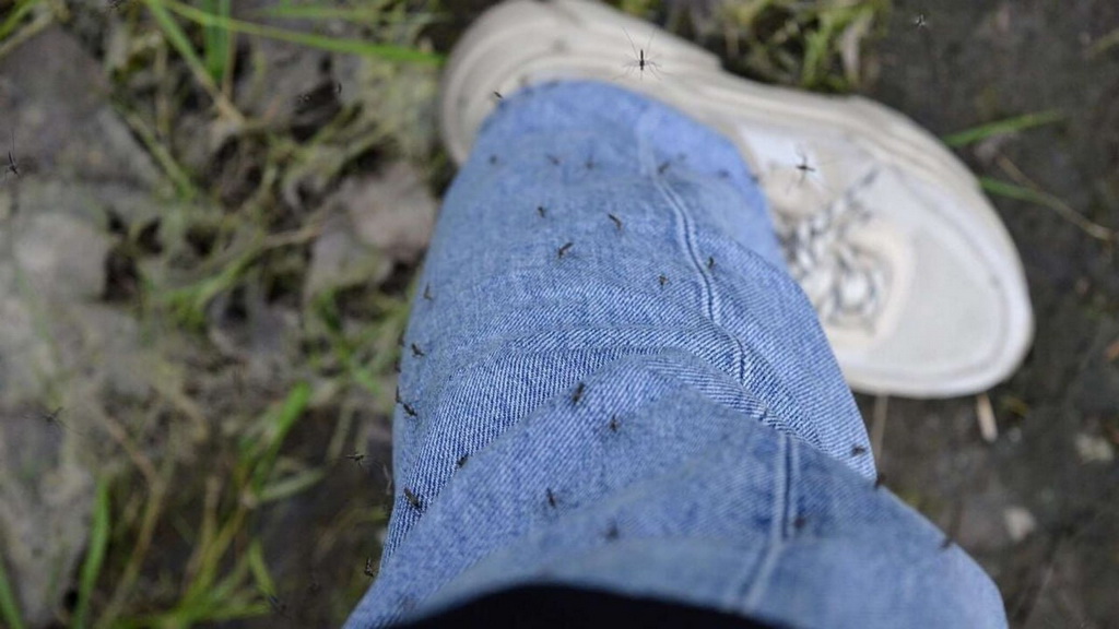 photo_2026-03-25_20-20-44_новый размер.jpg