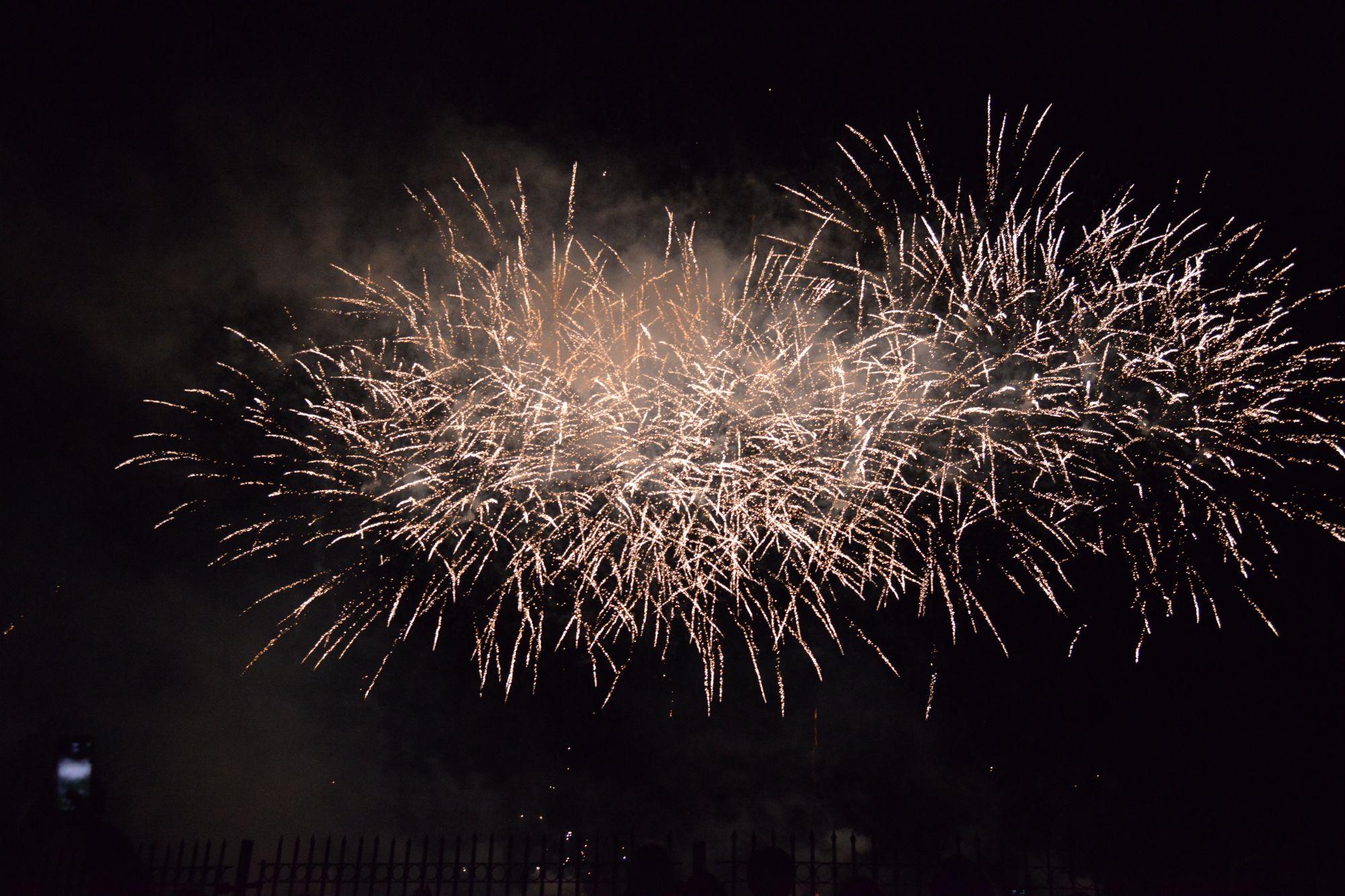 D80_8572.JPG D80_8572.JPG