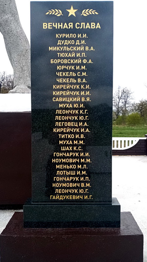 лишки гайдукевич.jpg