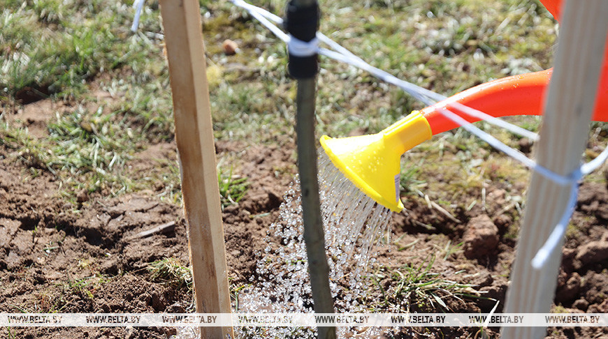 Республиканский субботник пройдет в Беларуси 18 апреля