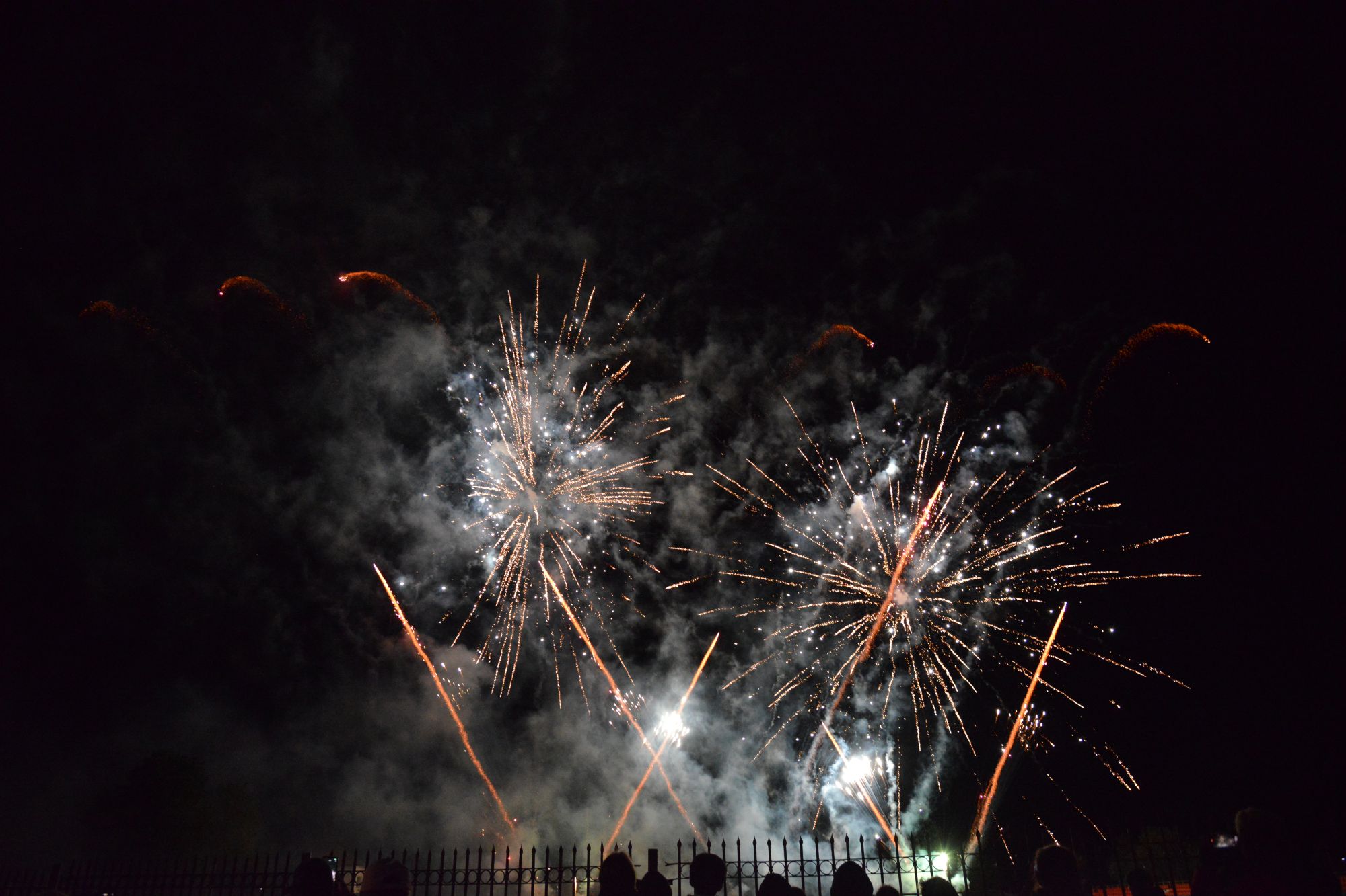 D80_8533.JPG D80_8533.JPG