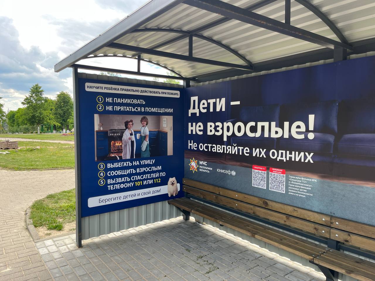 file_90956.jpg
