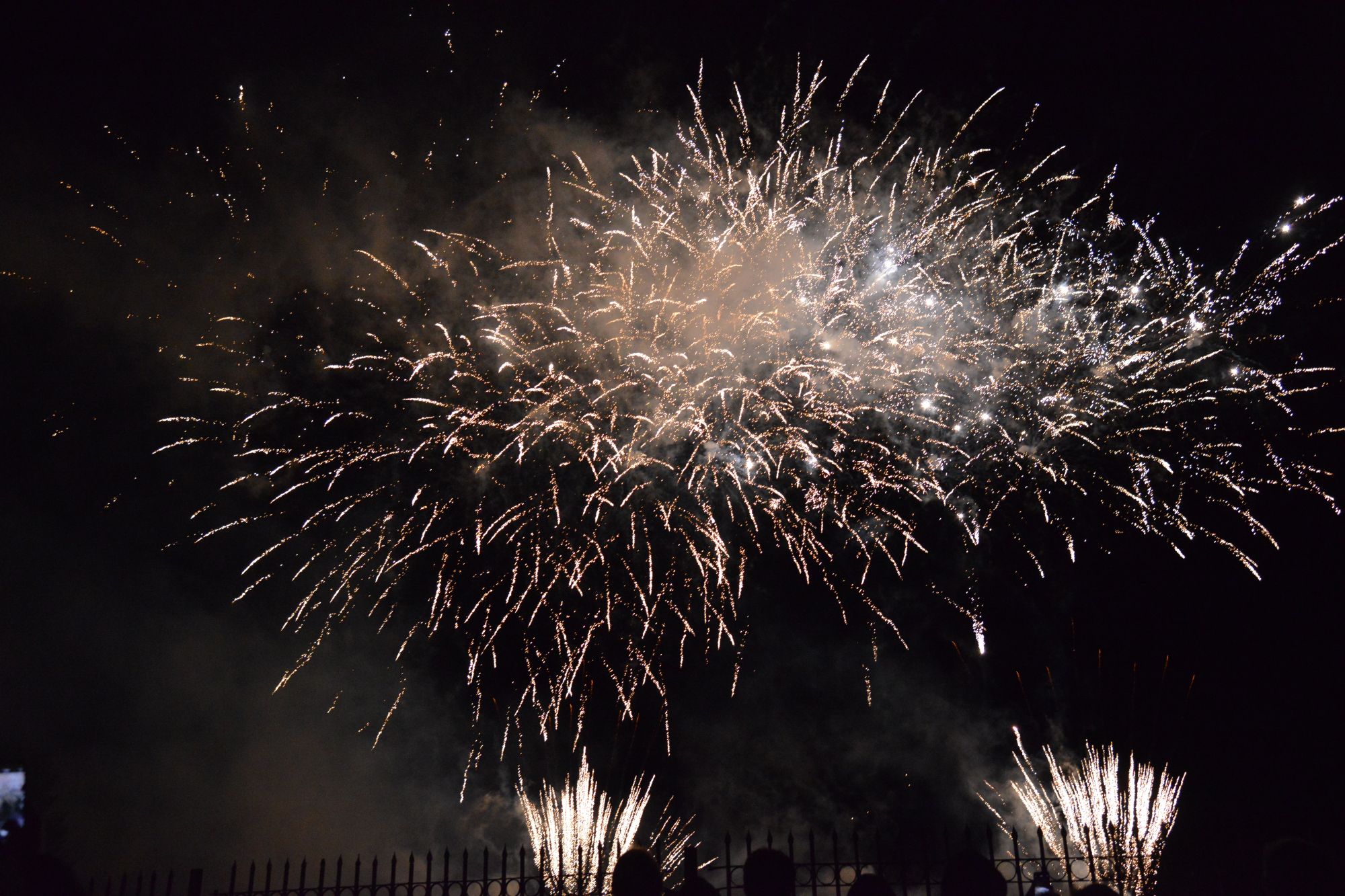 D80_8569.JPG D80_8569.JPG