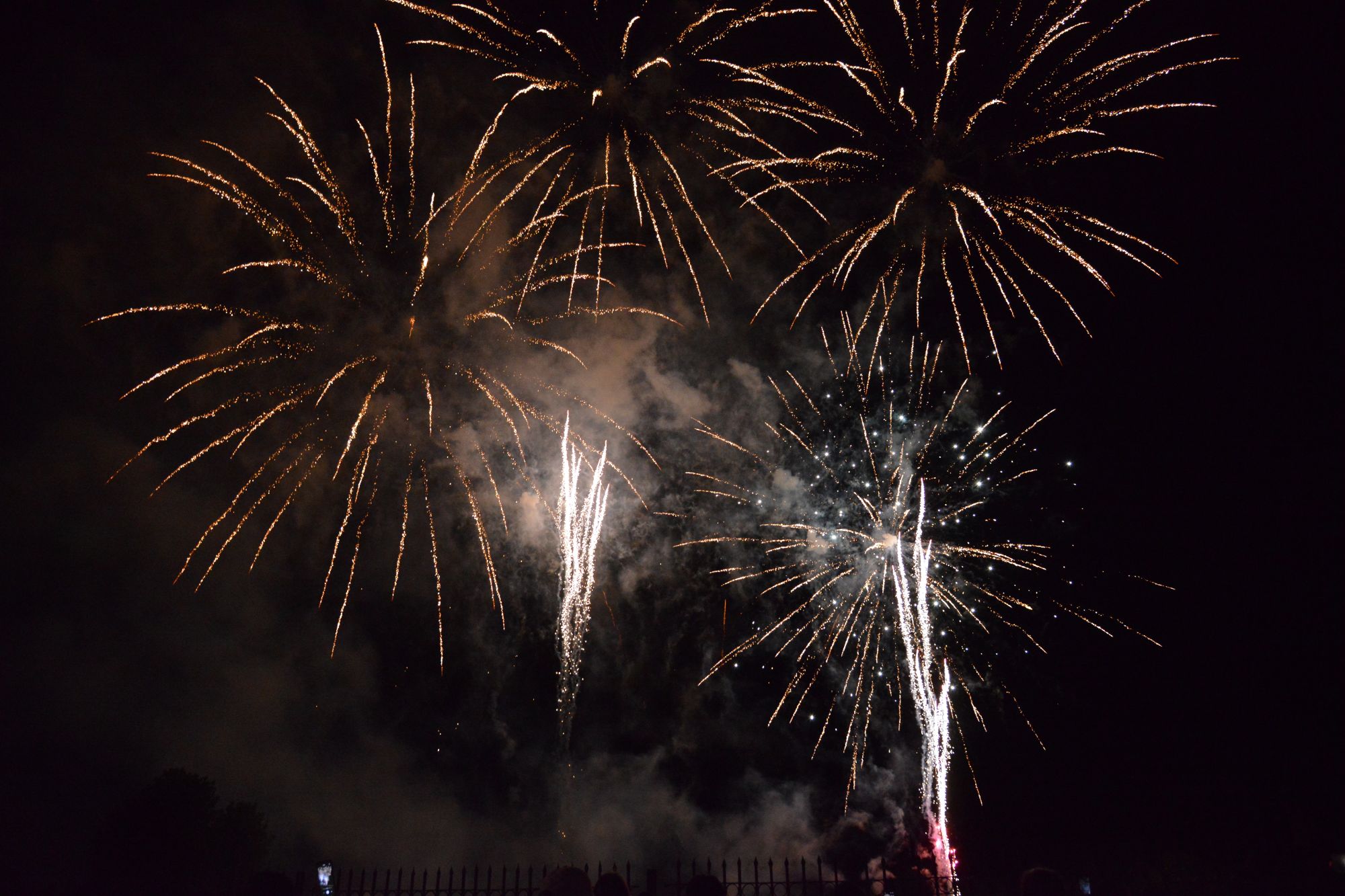 D80_8548.JPG D80_8548.JPG