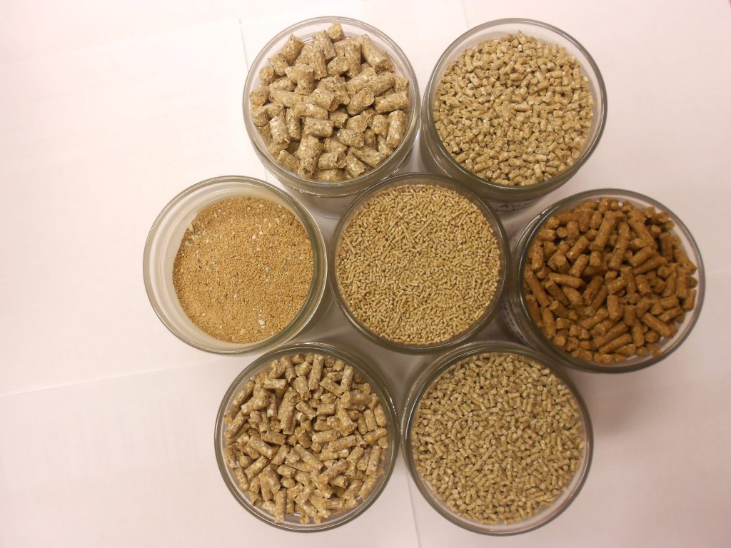 В Беларуси создадут реестр производителей кормов и кормовых добавок для сельхозживотных