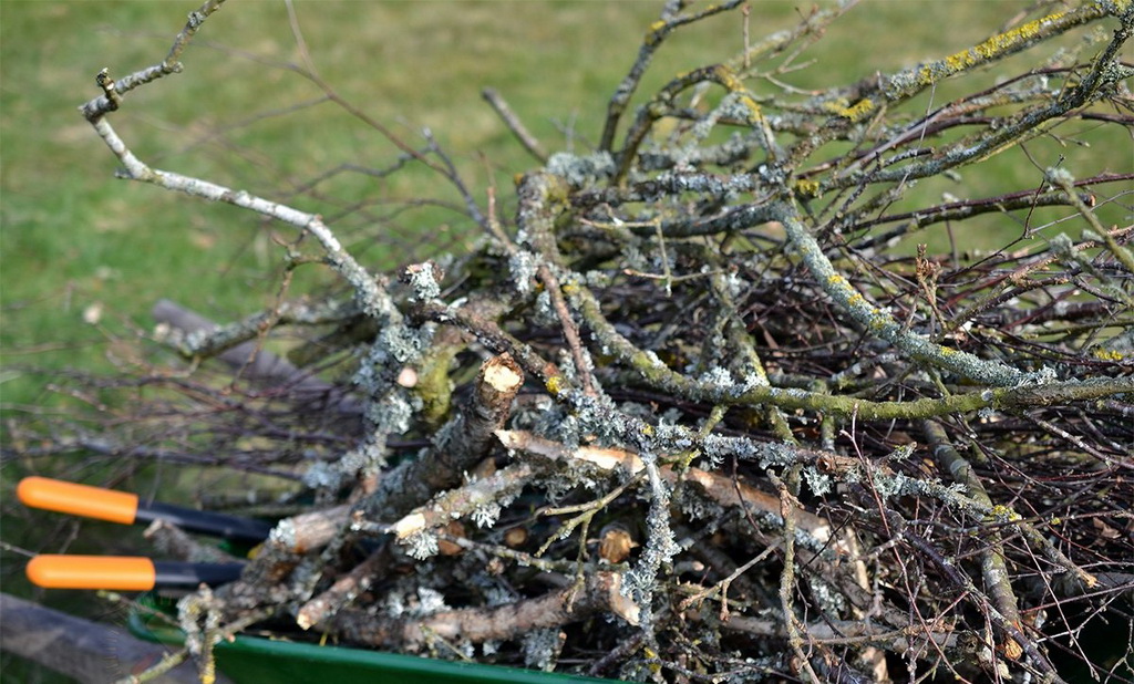 Субботник без искры: как навести порядок и не устроить пожар