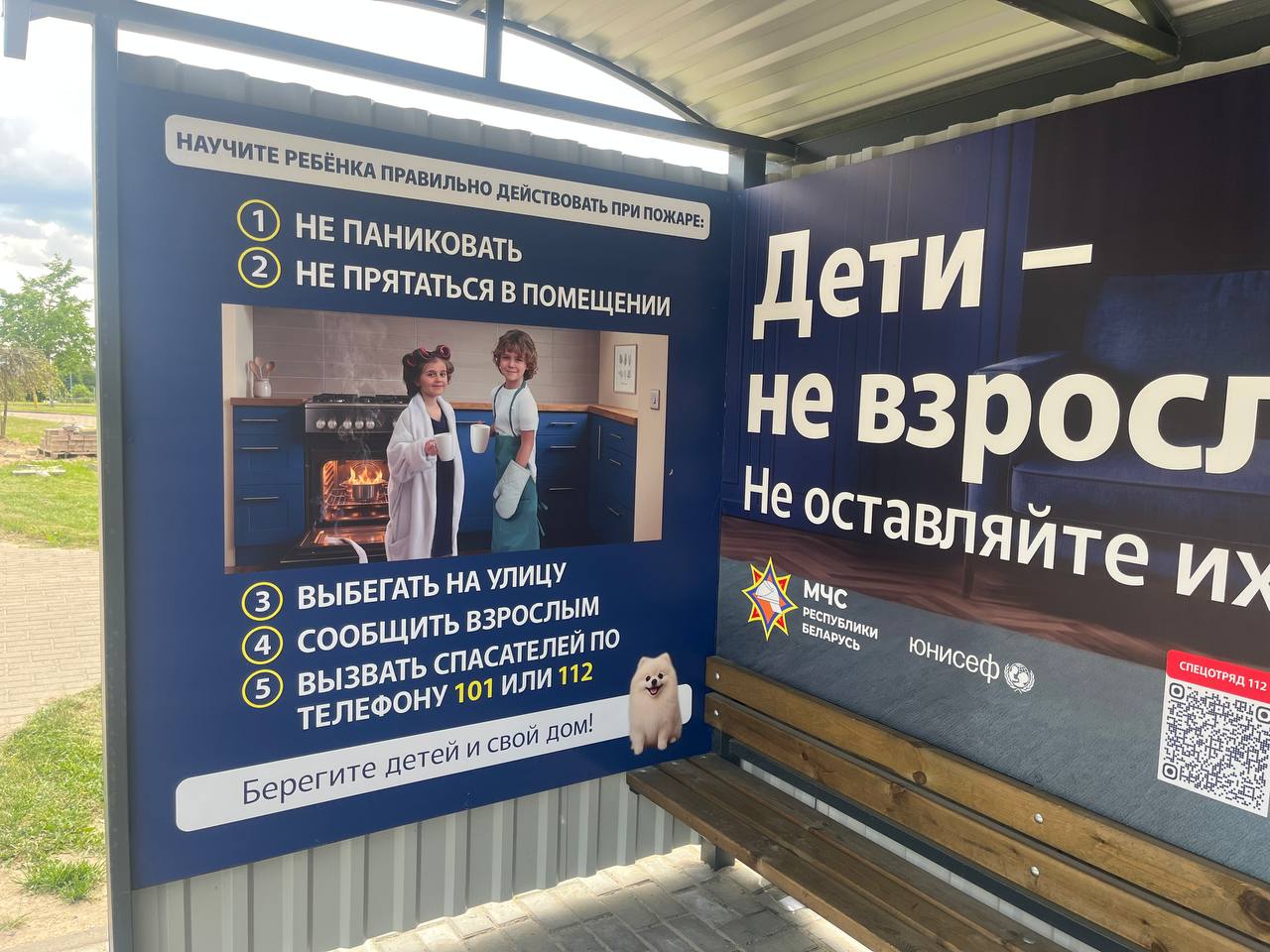file_90959.jpg