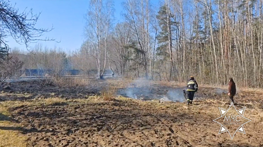 Спасатели Гродненской области за выходные ликвидировали 28 возгораний сухой растительности