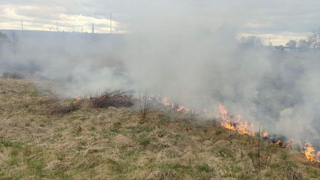 Огненные выходные: в Берестовицком районе горела сухая трава