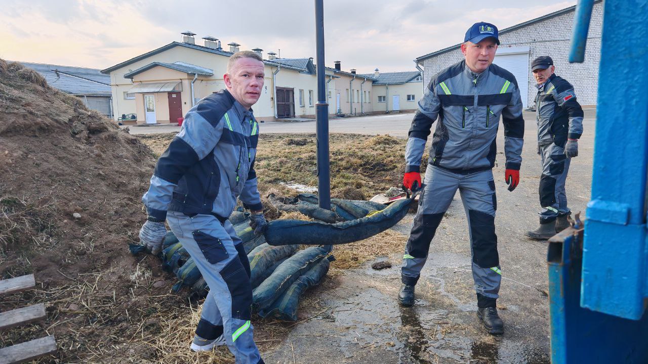 Дружно за порядок! В филиале «Агрофирма «Старый Дворец» РУП «Гродноэнерго» прошел субботник