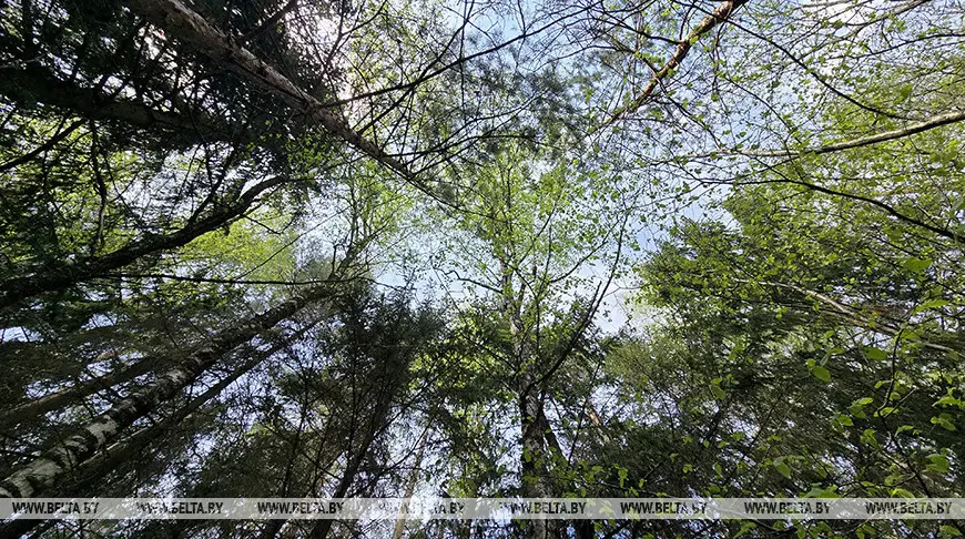 000022_1783506232_790240_big.jpg 000022_1783506232_790240_big.jpg