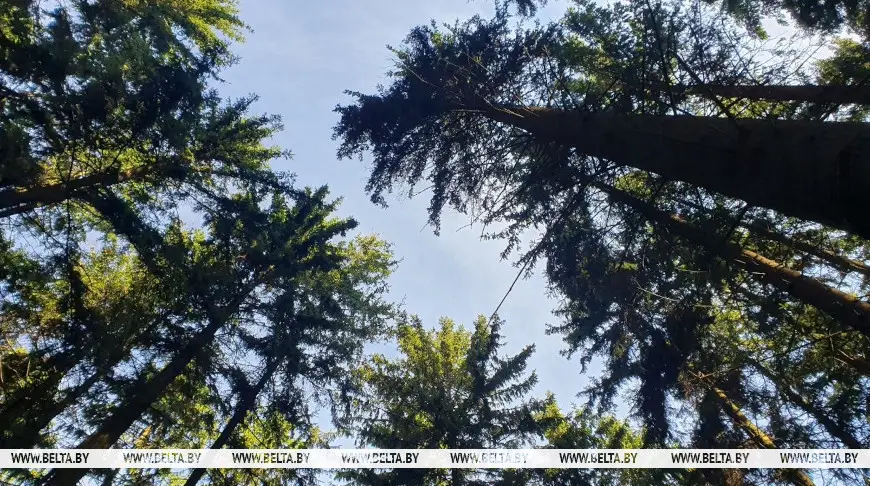 000022_1786342599_795325_big.jpg 000022_1786342599_795325_big.jpg