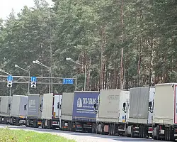 Более 860 фур ожидают на границе въезда в ЕС