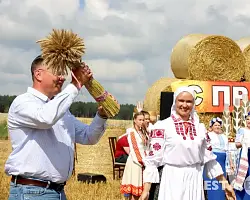 Первый сноп — к богатому урожаю. В ОАО «Малоберестовицкий элитхоз» отметили зажинки