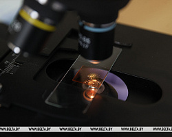 Стоит ли белорусам бояться вируса Нипах, разъяснили эпидемиологи 