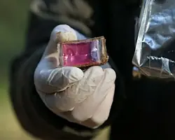 С 1 сентября будет проводиться оральная иммунизация диких животных
