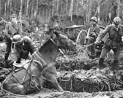<strong>Житель деревни Петровцы Александр Акулевич в годы фашистской оккупации повторил героический поступок Ивана Сусанина.</strong>