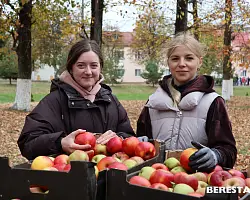 Осеннее изобилие. Сельскохозяйственная ярмарка «Золотая осень» прошла в Большой Берестовице