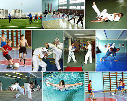 Итоги спортивного 2010 года