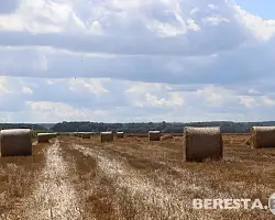 Огонь не прощает беспечности 