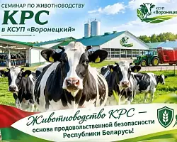 Районный семинар по развитию животноводства: инновации и технологии на базе КСУП "Воронецкий" 