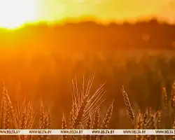Какие опасности таит в себе жаркая погода, рассказали в МЧС 