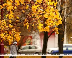 Зонт обязателен. В первый рабочий день недели будет ветрено и дождливо