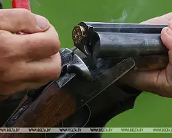 Сезон охоты на рябчика и серую куропатку открывается в Беларуси 