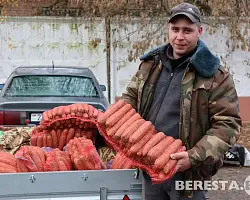 Сельскохозяйственная ярмарка «Восеньскі кірмаш» прошла в Большой Берестовице 