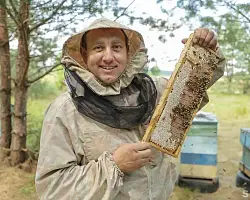 Белорусский суперфуд с разнотравьем вкусов — в чем ценность и польза меда